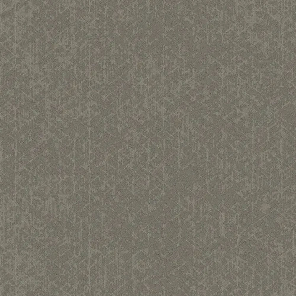 VIVIDOR